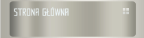Strona główna